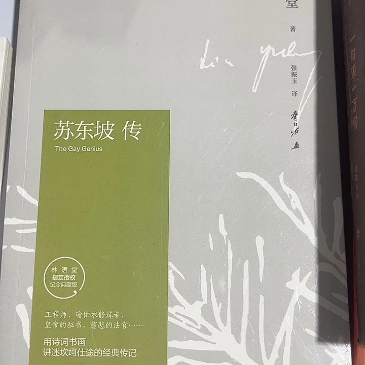 苏东坡传全新推荐