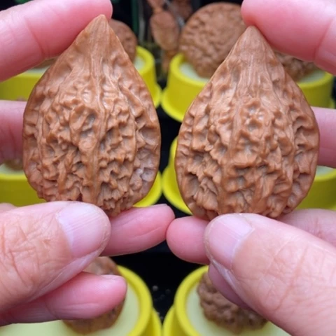 吊坠文玩核桃瓷瓶鸭嘴39q p