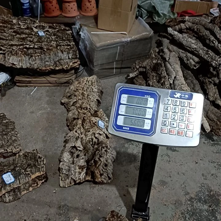 一物一拍一物一发