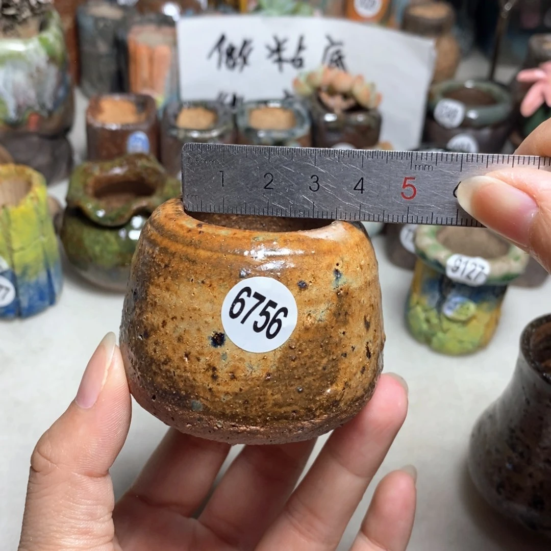 拍5送一个小礼物