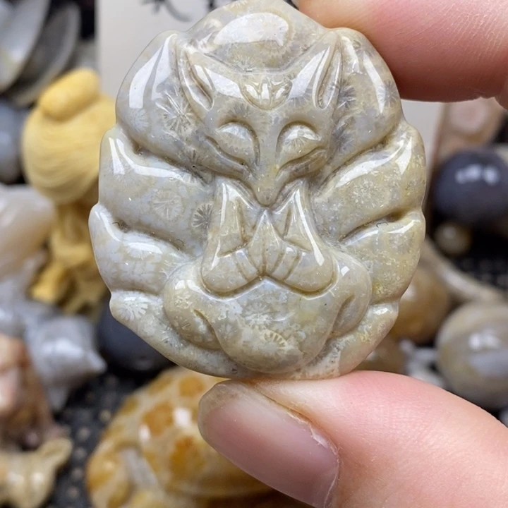 硅化珊瑚（珊瑚玉）未镶嵌颈饰