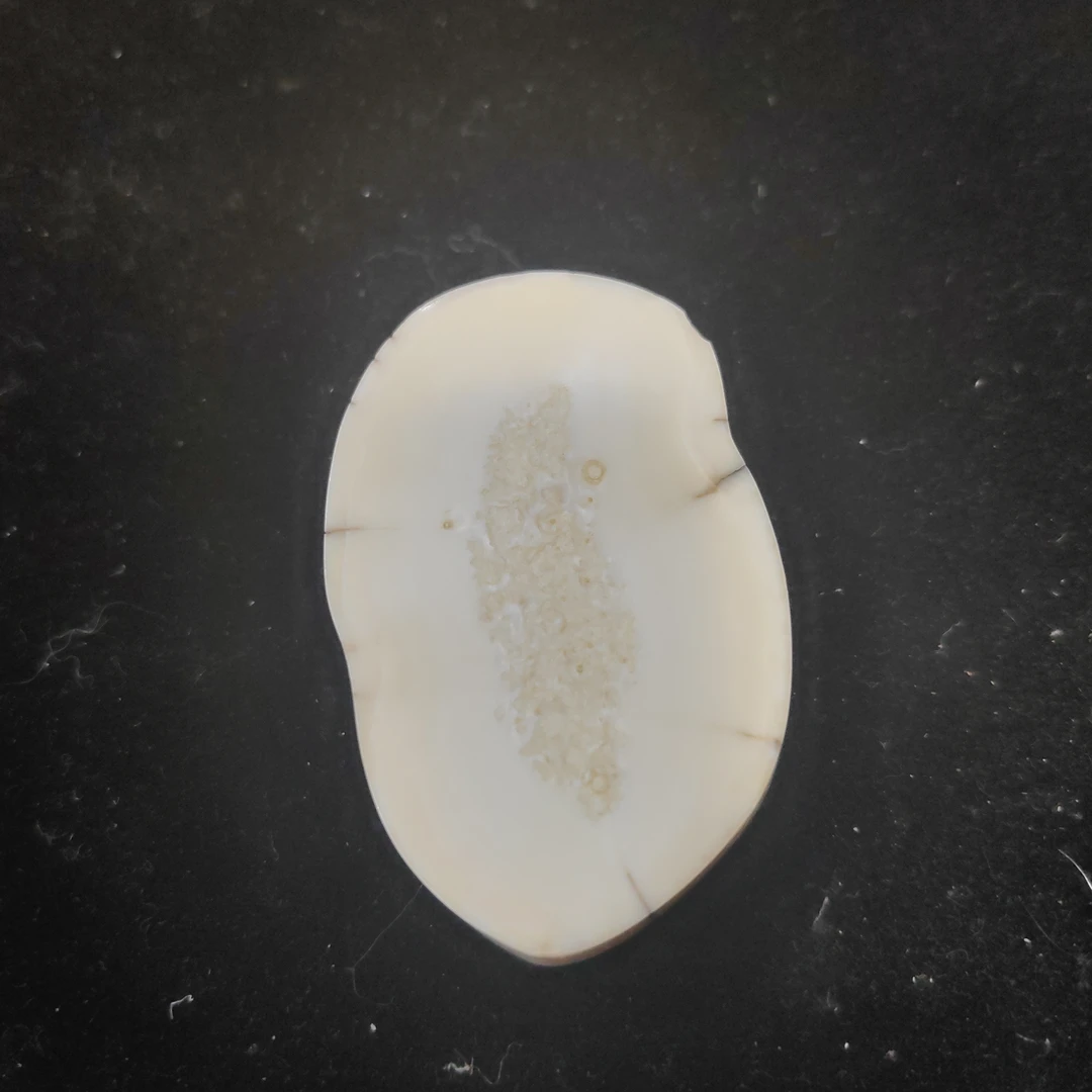 猛犸猛犸虬饼子WT551