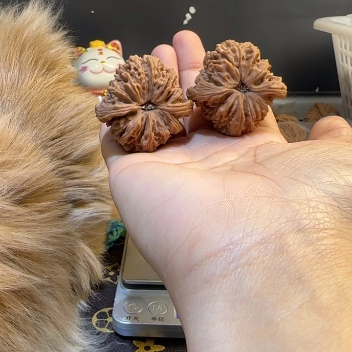 耿***纬桃核吊坠核桃核桃