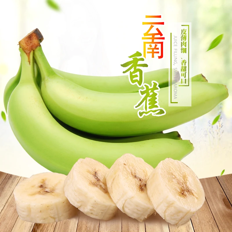 【森美奇】云南绿皮香蕉净重5斤装现摘青蕉（单根120-250g12-19根*1）