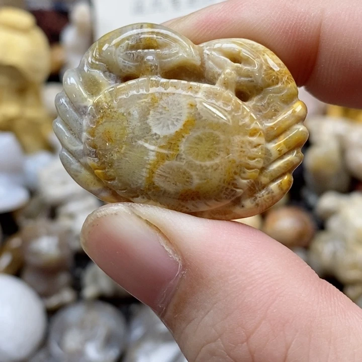 颈饰未镶嵌硅化珊瑚（珊瑚玉）