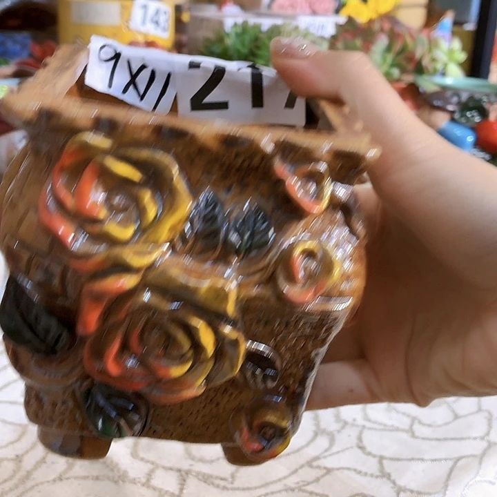 多肉花盆满15包邮