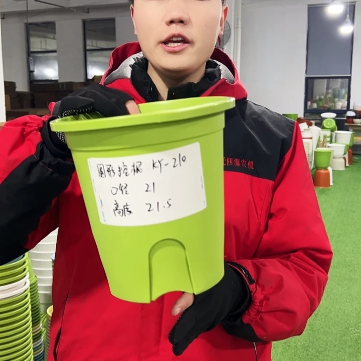 正品圆控口21高21果绿色8只无托