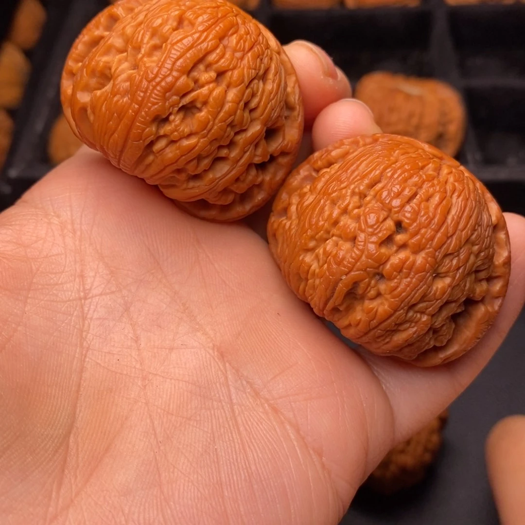 秦岭野生文玩核桃