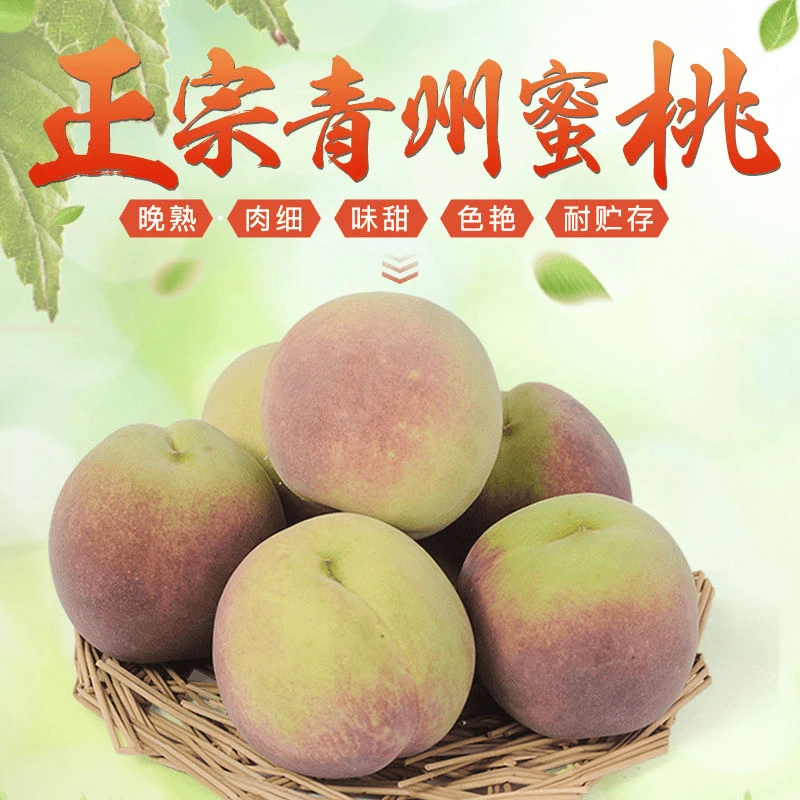 山东青州高山蜜桃脆甜桃水蜜桃五里孕妇脆甜脆甜桃水蜜桃