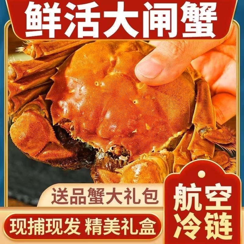 【活蟹】江苏大闸蟹 公蟹5.0-4.7两 母蟹4.0-3.7两 买8送2 到手10只