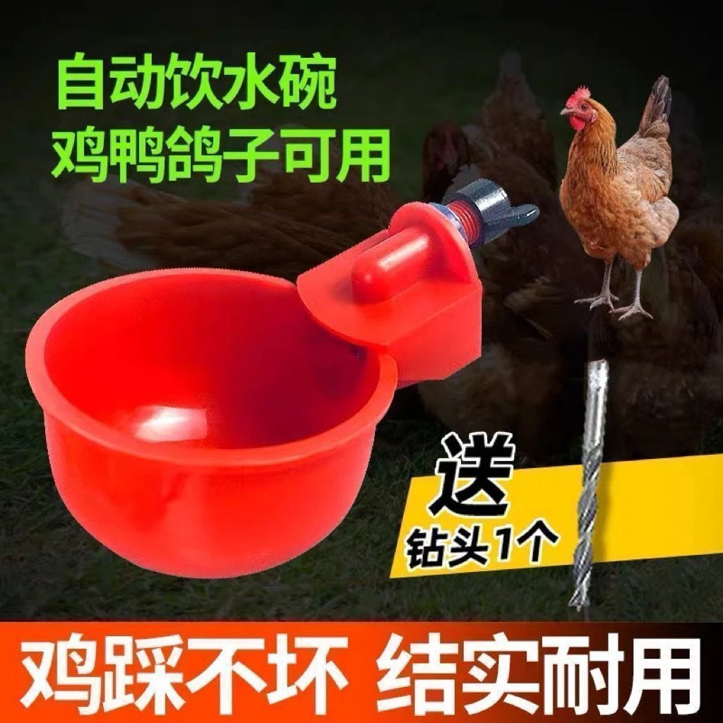 自动饮水器鸡鸭鹅自动水碗加厚喂水器鸽子鸡饮水器全自动新款