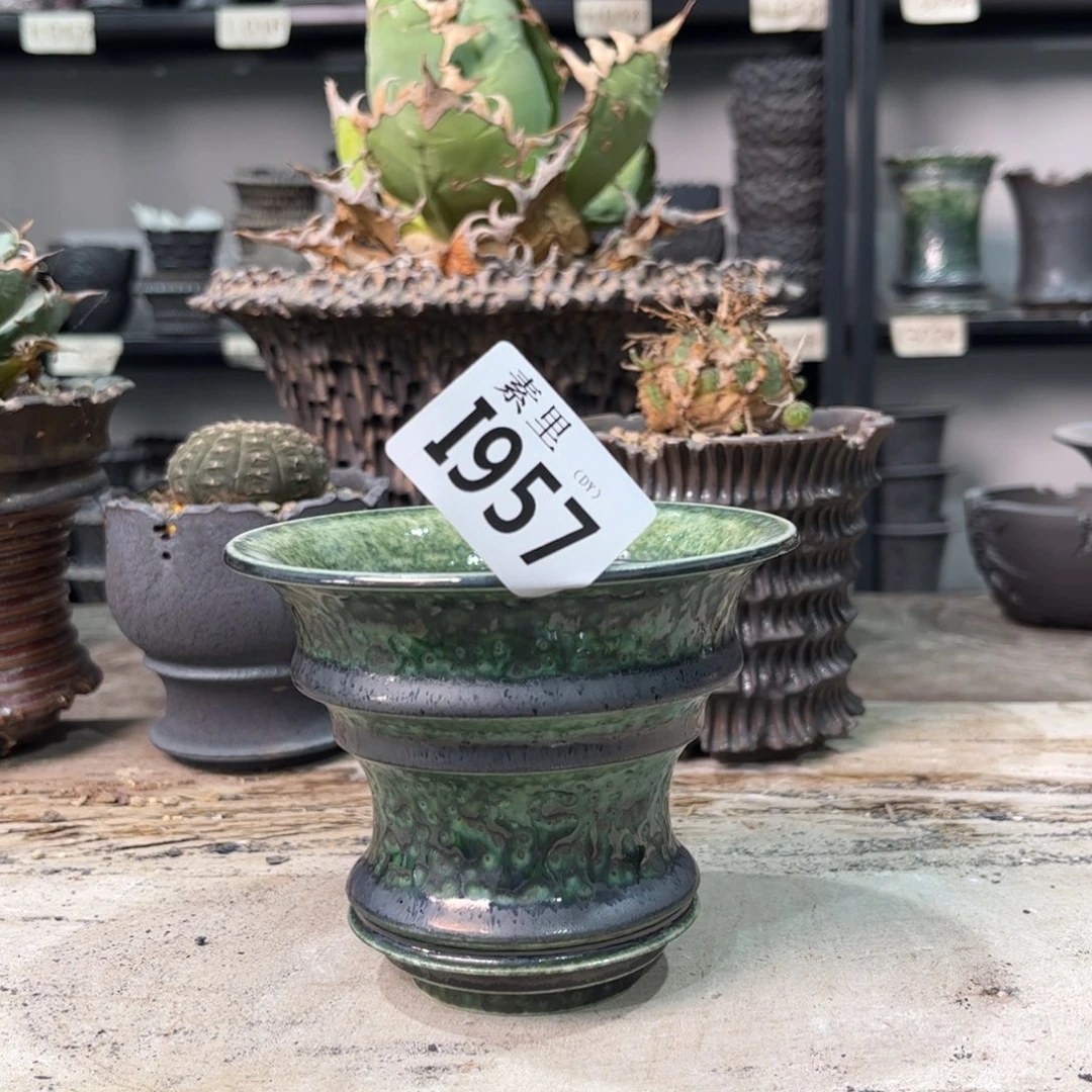 陶内口11高9瑕疵和环境