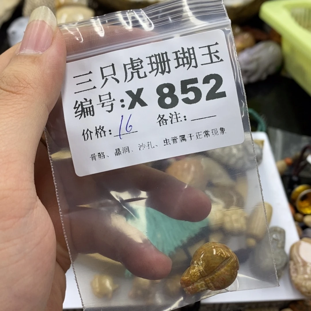 硅化珊瑚（珊瑚玉）X未镶嵌不*