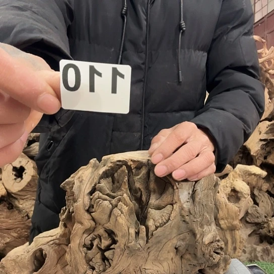 用****4紫砂噜啦啦啦啦啦啦