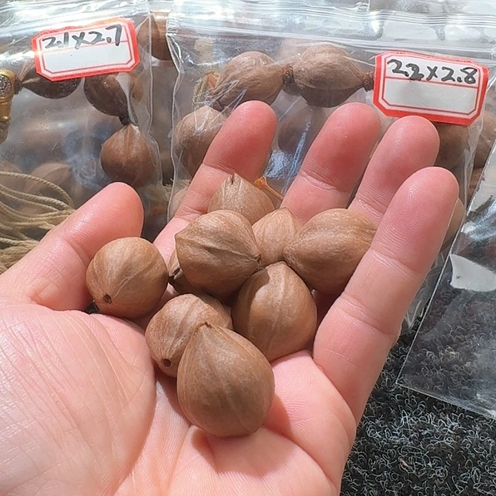 吊坠橄榄核2.1❌2.7