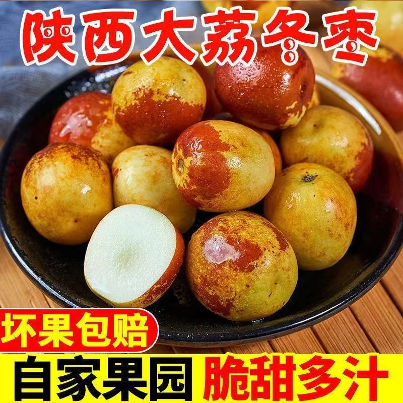 陕西大荔正宗冬枣现摘现发脆甜可口应季新鲜水果