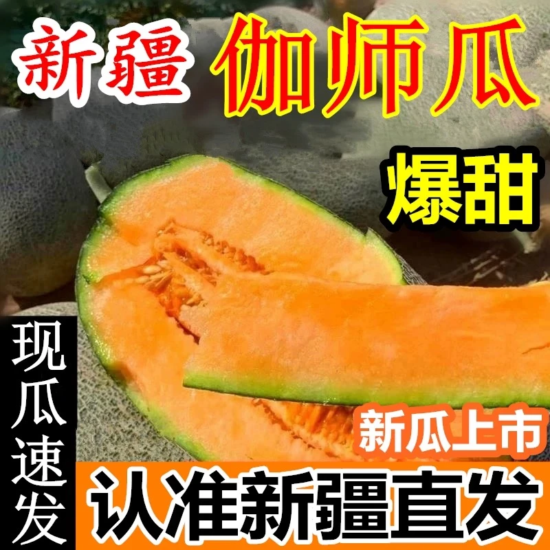 【京东空运】正宗新疆伽师瓜哈密瓜脆甜爽口应季新鲜水果