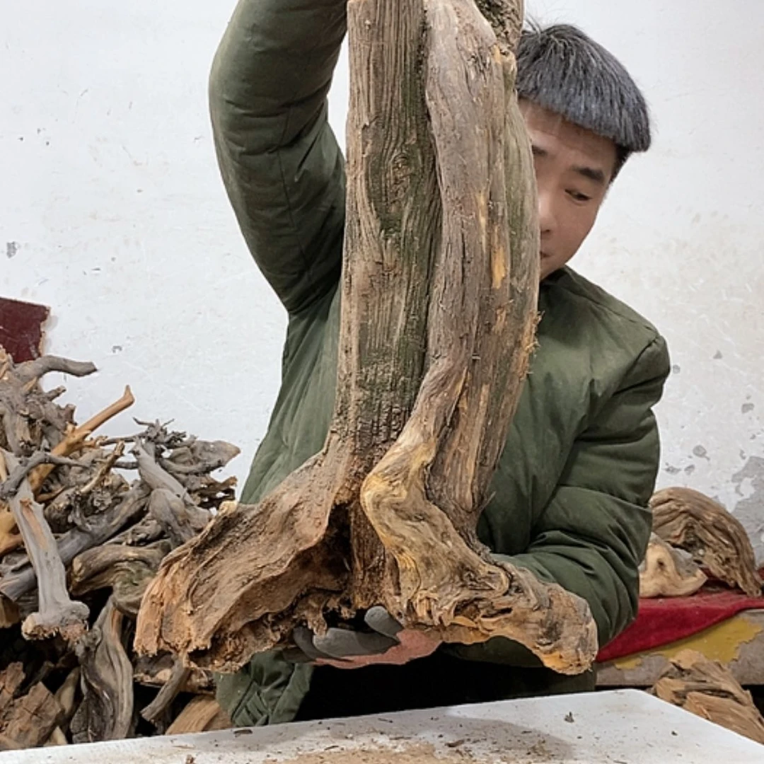 【闪购商品】柏木木****馆我们都是好孩子