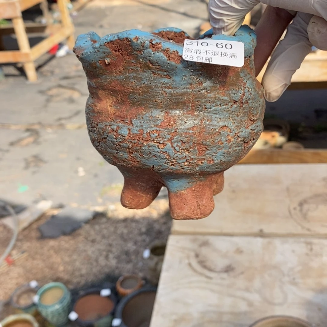 红陶盛*?60号多肉盆一个呀