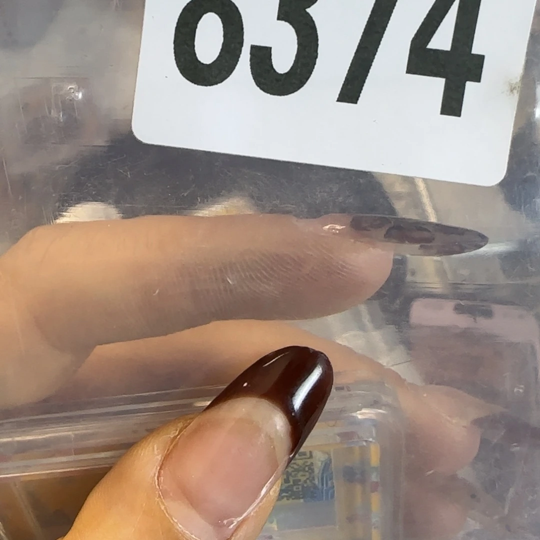 新号开播福利多多