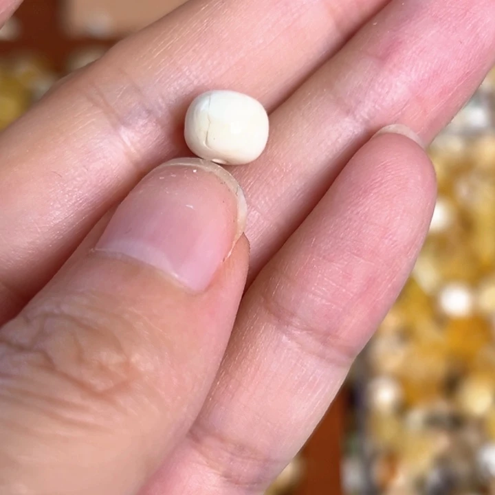 未镶嵌蜜蜡裸石8.2mm一个