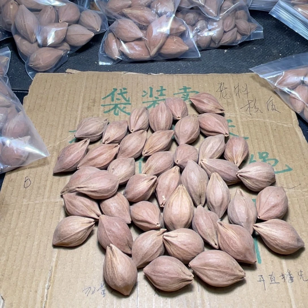 m**a不退不换dsgfg