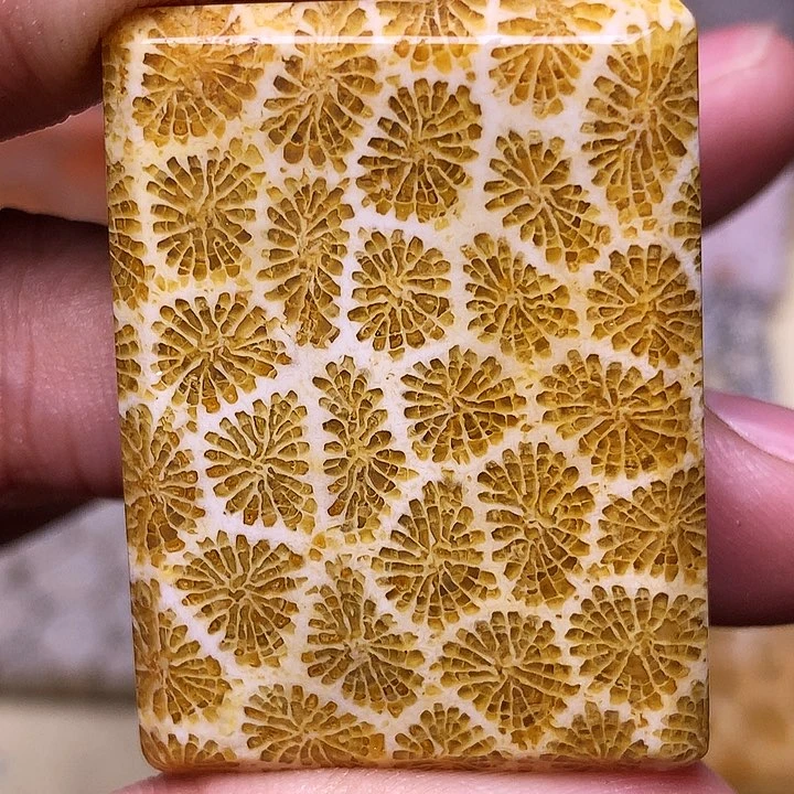 硅化玉珠宝奇石合金没****在