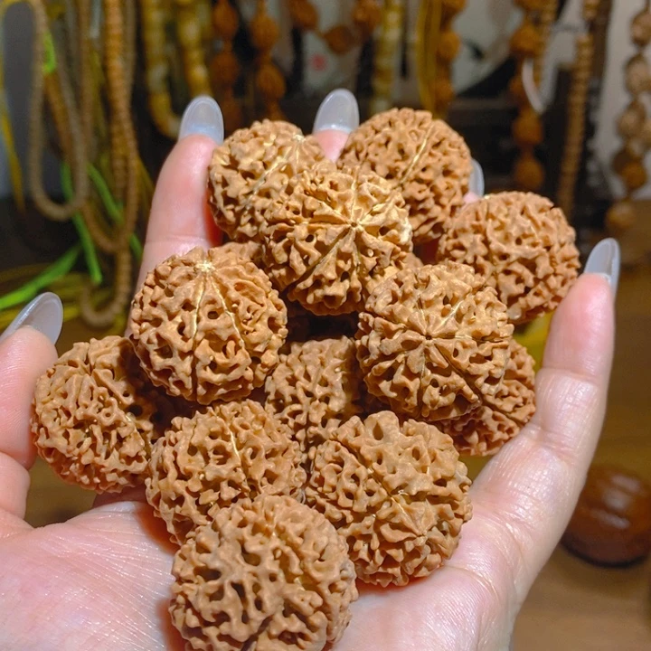 野生多瓣大金刚手持12颗