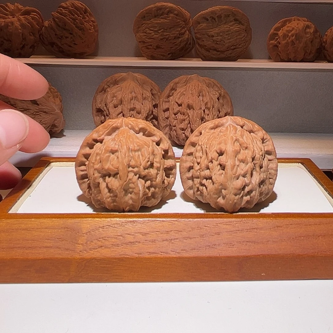 39白狮子，骨质好，红皮，