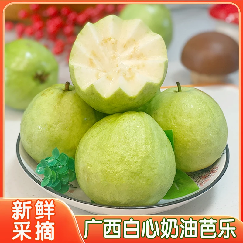 【放软吃】广西白心奶油芭乐冰淇淋口感软糯香甜番石榴应季水果整箱