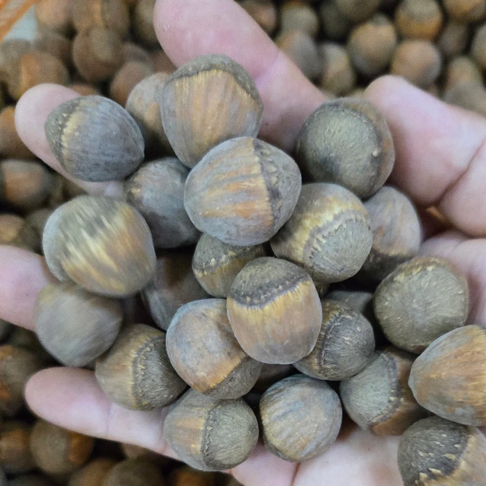 2025年东北大榛子干榛子2斤/3斤