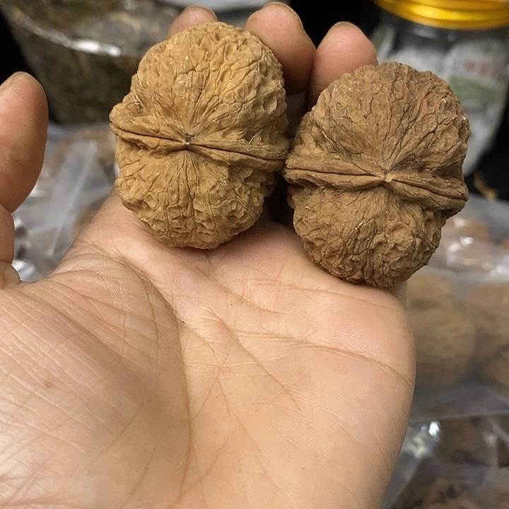 核桃云南铁核桃基地94