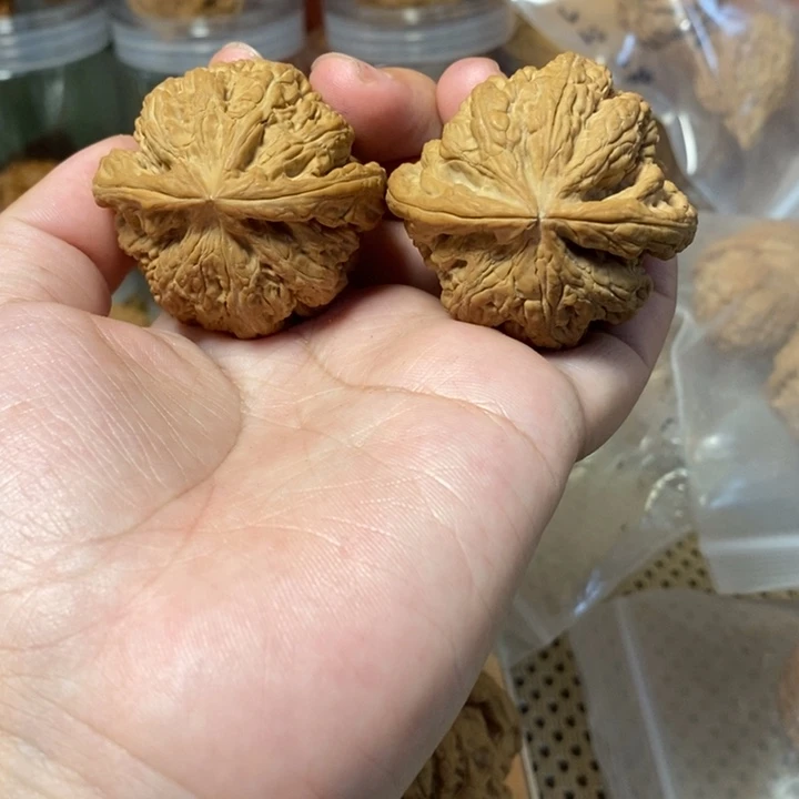 核桃手串/手链粗筋44