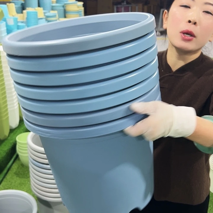 微瑕6号四季口32.5高27.7雾霾蓝7只无托