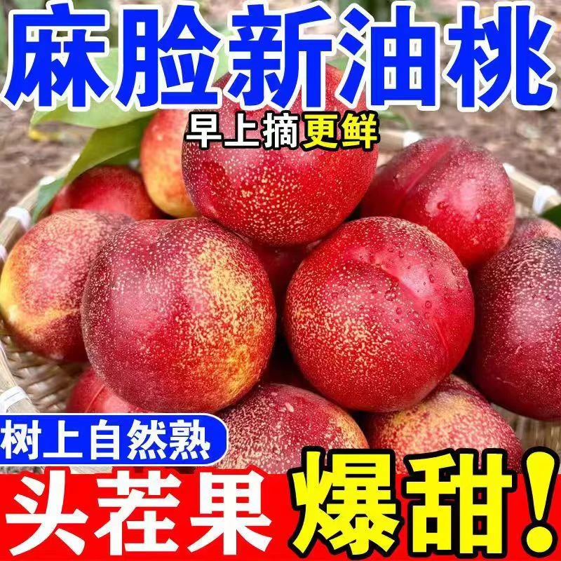 正宗麻点油桃  沂蒙山脉的正宗油桃