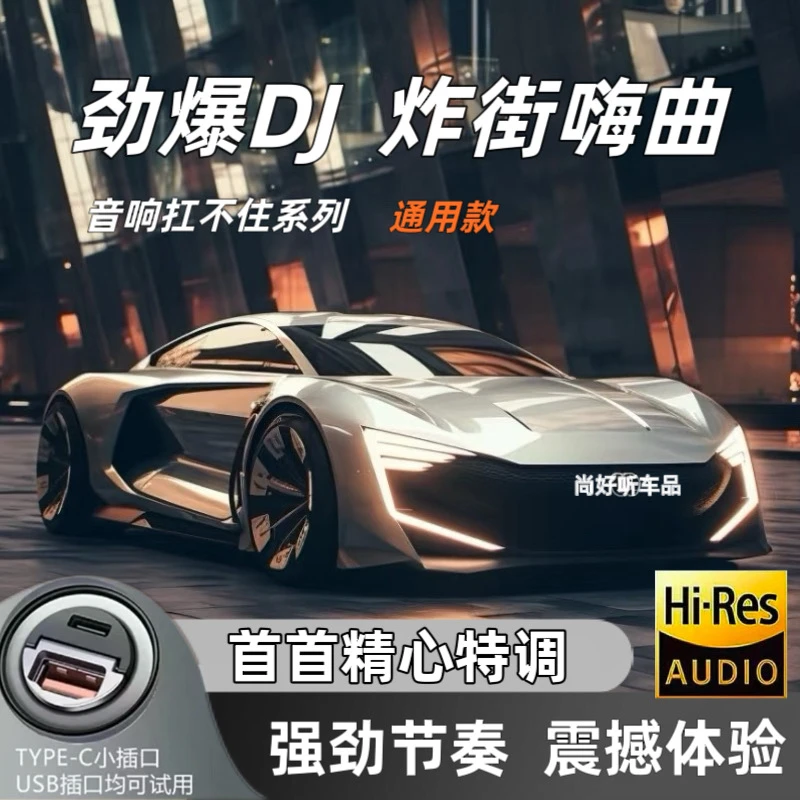 ［2025热门款］重低音炸街劲爆超嗨DJ车载U盘 一半抒情一半DJ通用款