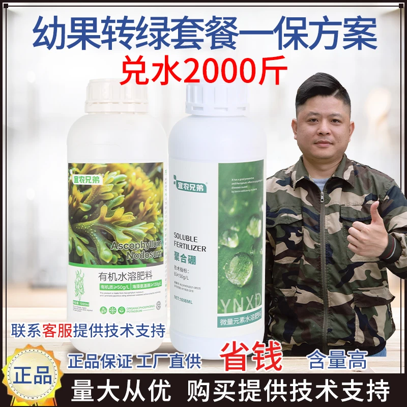 宜农兄弟幼果转绿膨大营养方案促进发育绿果绿叶加快膨果果柄增粗