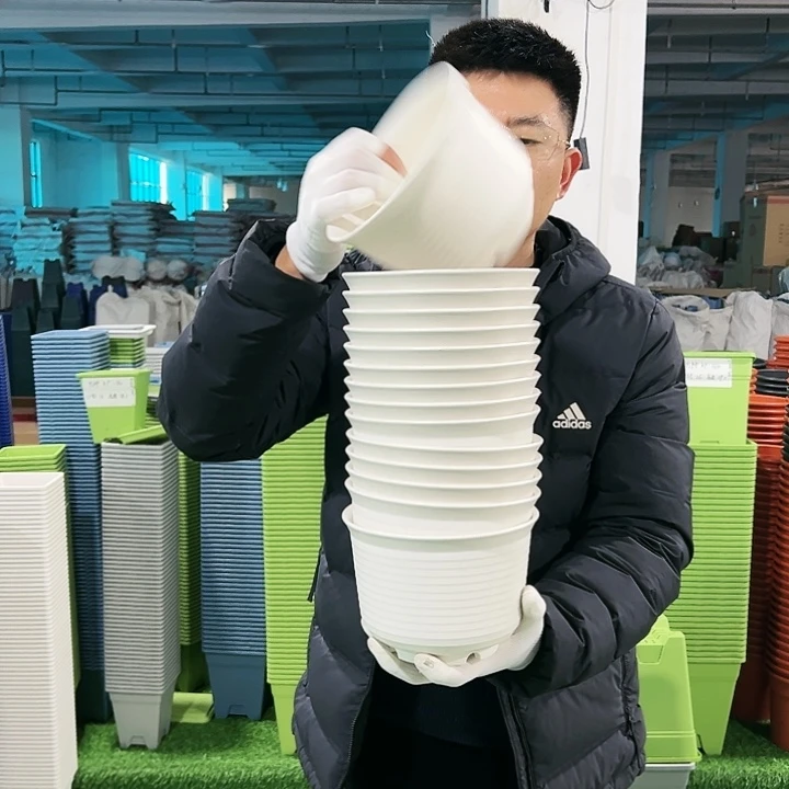 正品矮陶口18高13白色10只无托