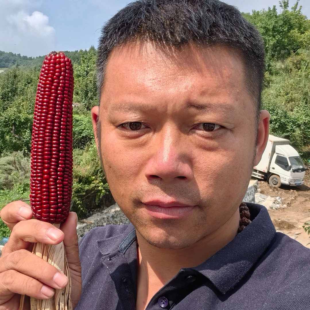 老杨自制纯植物工艺品摆件(仅供观赏)~抖音