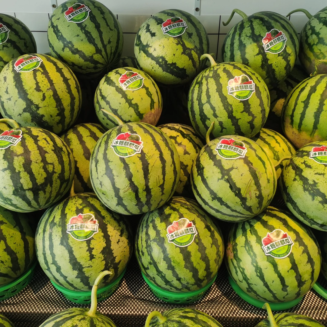 江苏精品麒麟西瓜2.5一斤，产地直采，质量保障！！西瓜同城配江苏省