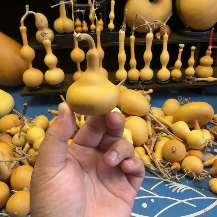 往***烟gzhniyzizixixxsxss