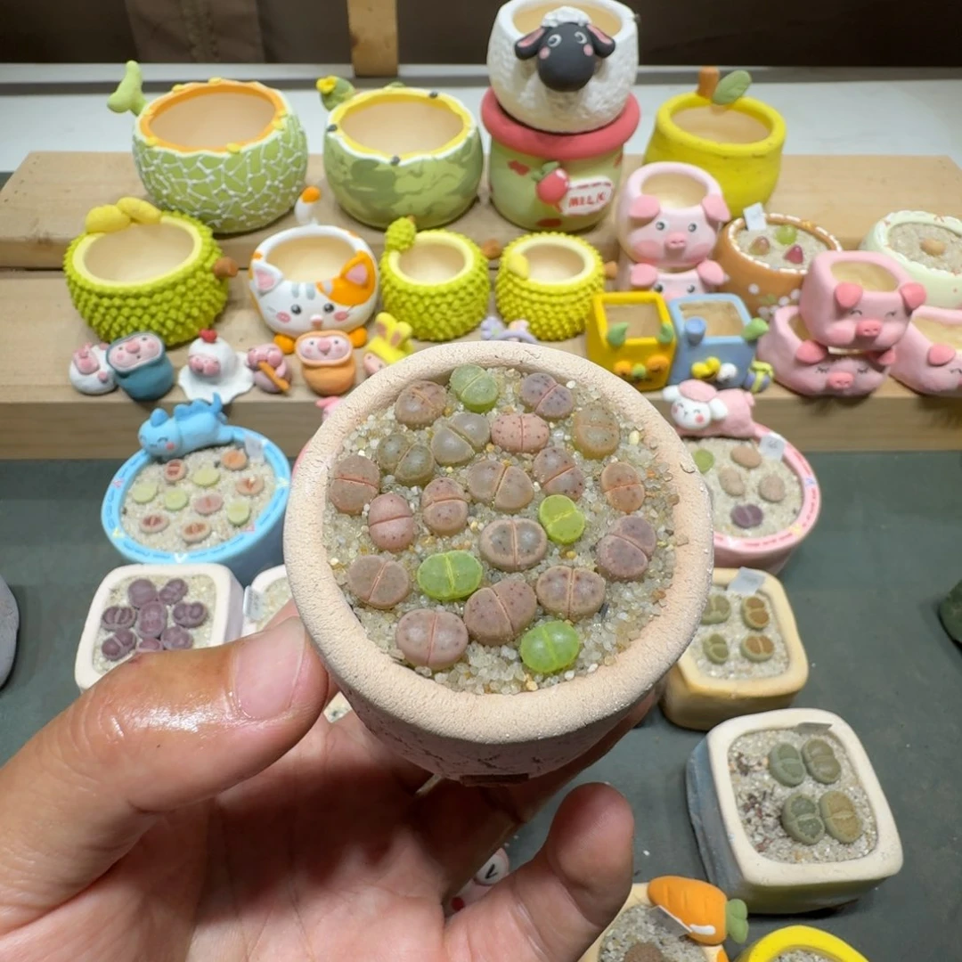 P****.蘑菇266草莓惜春
