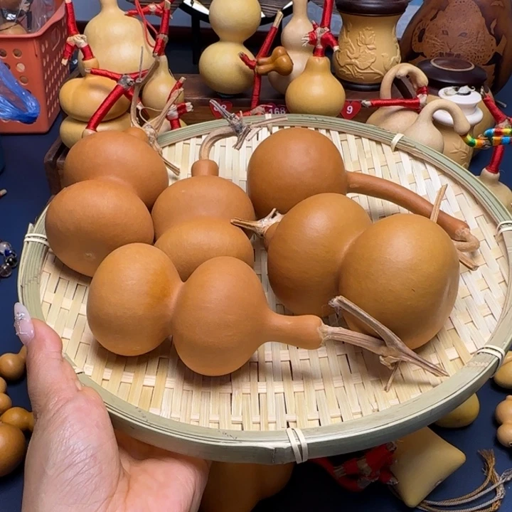 森***林葫芦哈哈哈哈哈哈11