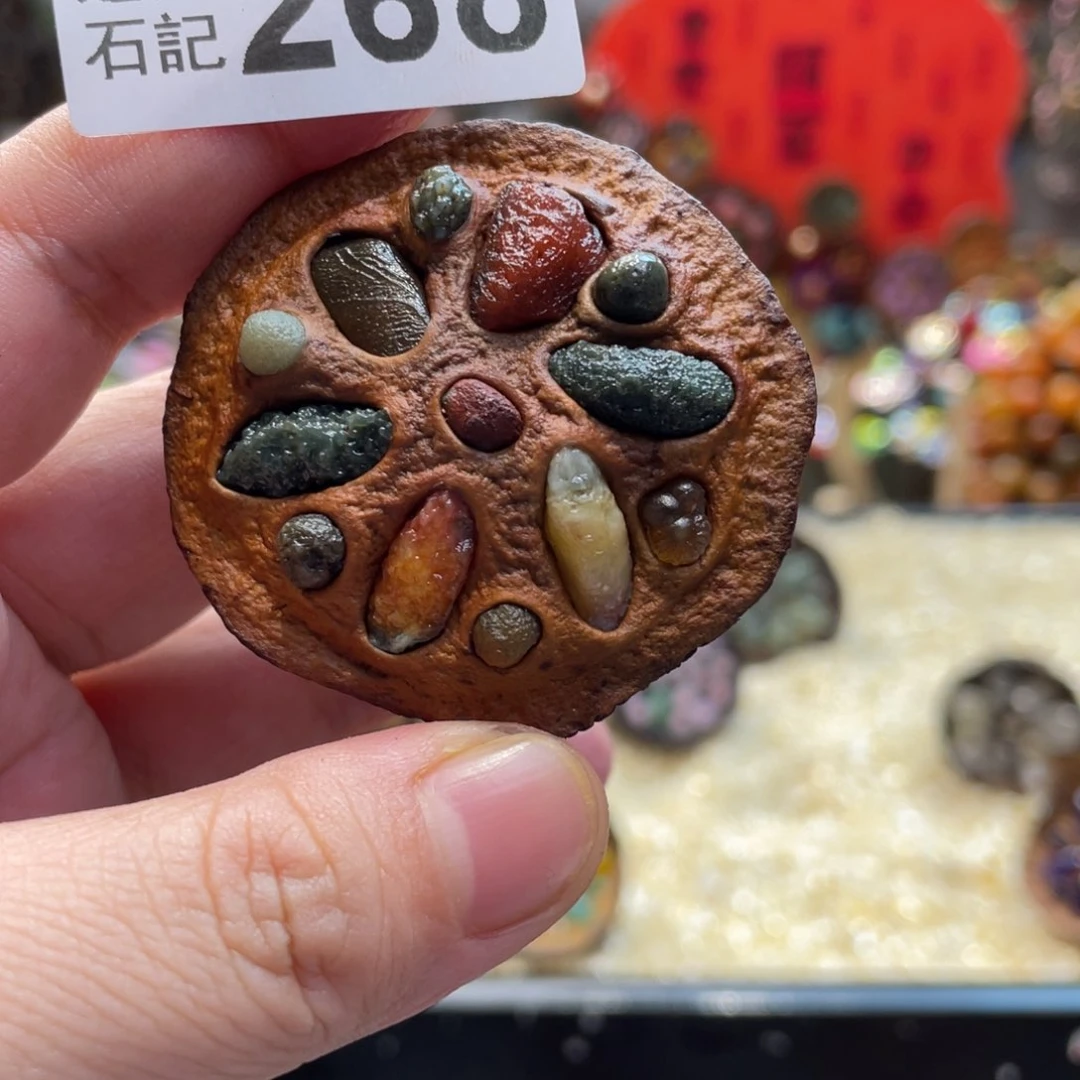 核桃木/黑胡桃（胡桃木）文***。268带尾巴