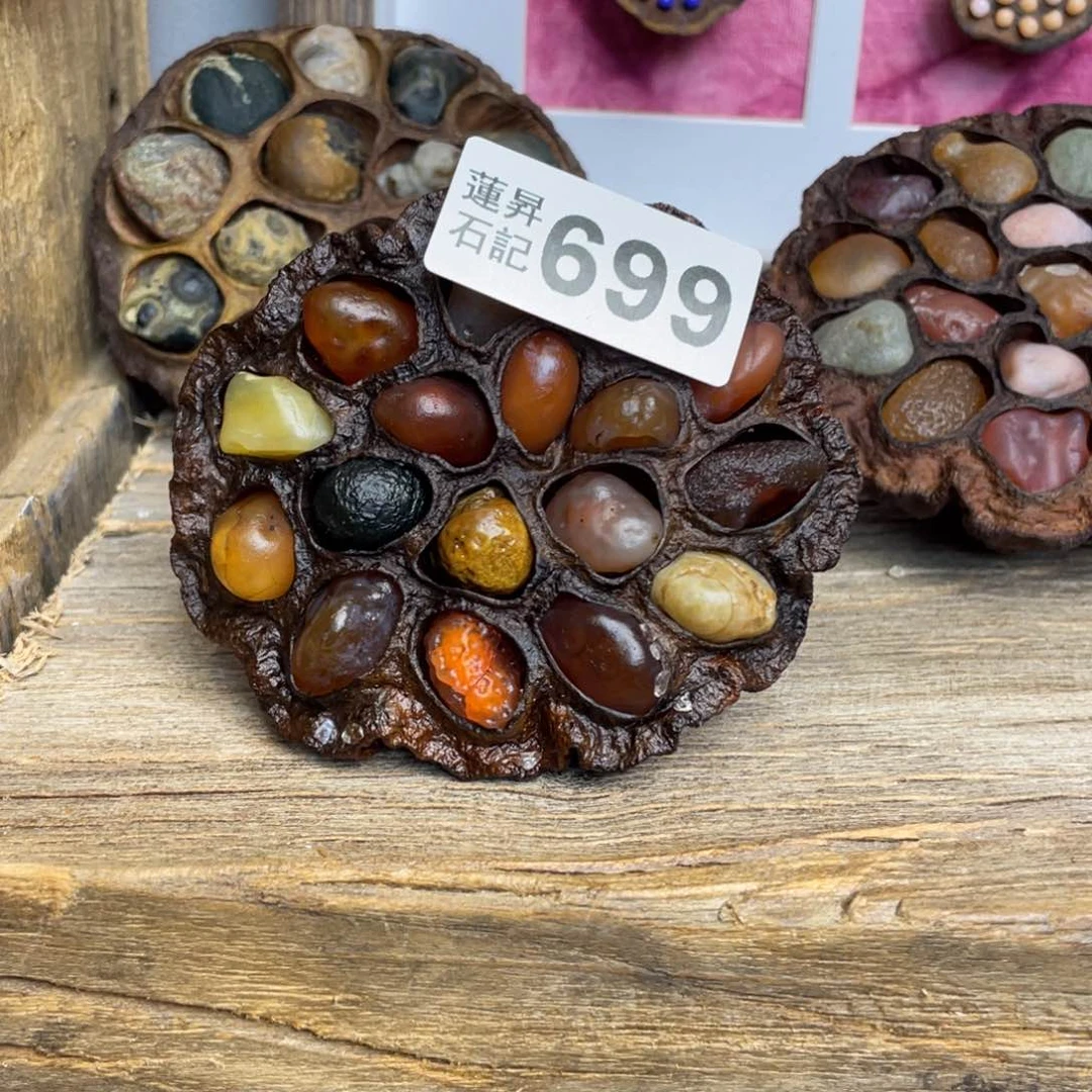 核桃木/黑胡桃（胡桃木）羽*?699