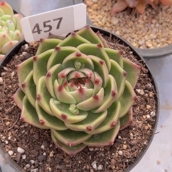 健健康康平平安安