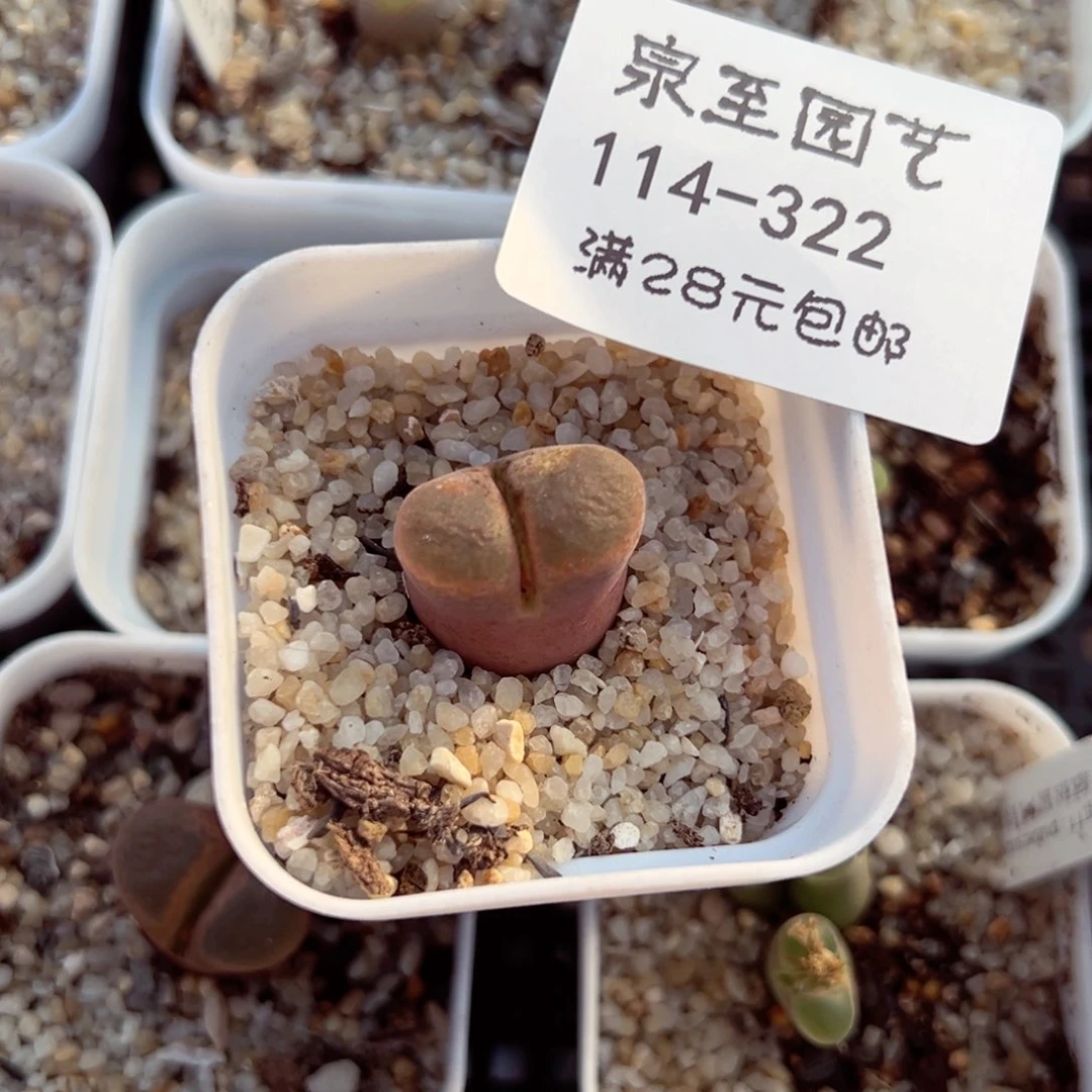 劳****?114-322.我是真的不