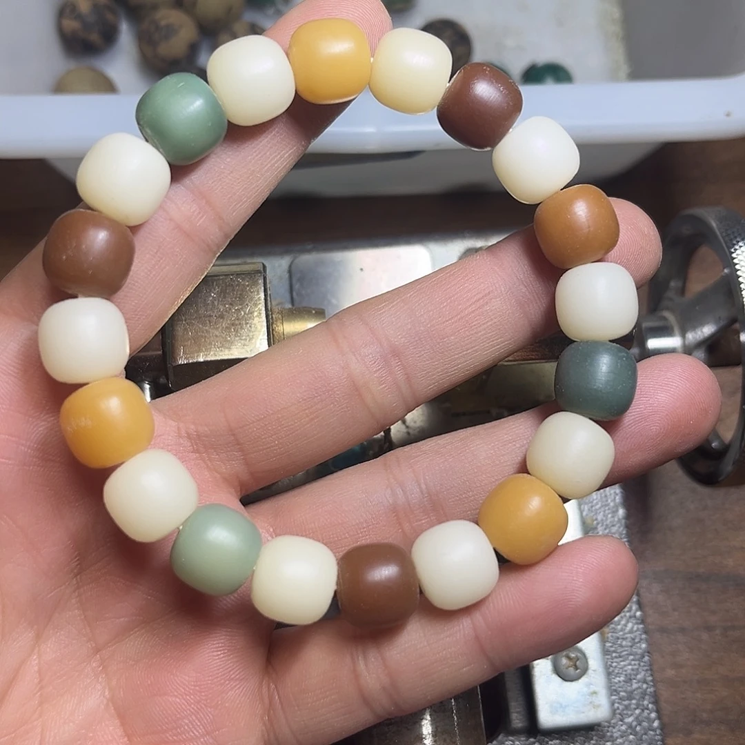 菩提根/象牙果手串