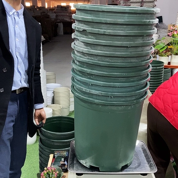 高6加伦口29高30绿色11只无托