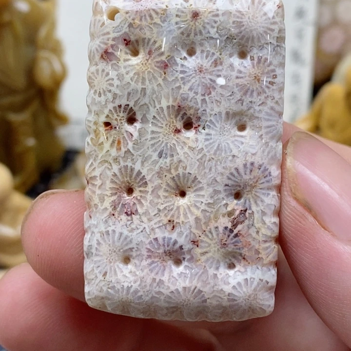 颈饰未镶嵌硅化珊瑚（珊瑚玉）有瑕